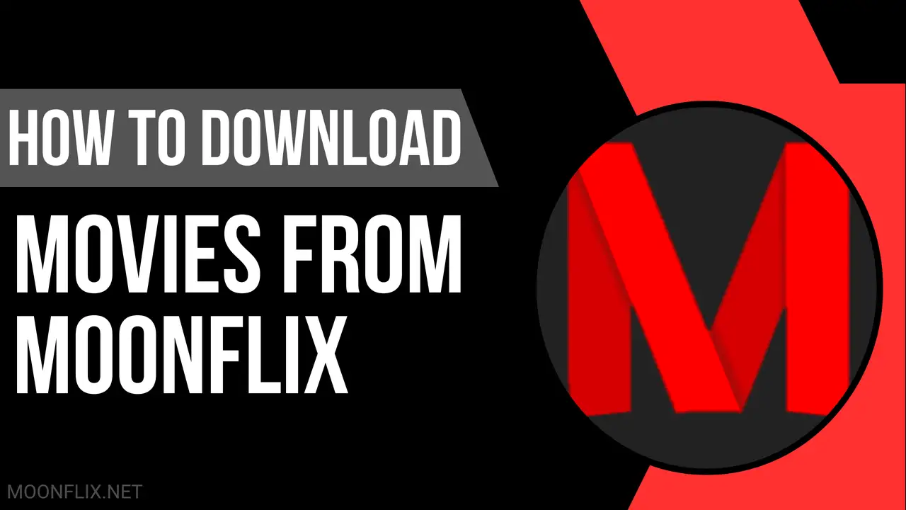 How to Download Movies From MoonFlix For Offline Viewing? 2 How to Download Movies and Series From MoonFlix For Offline Viewing